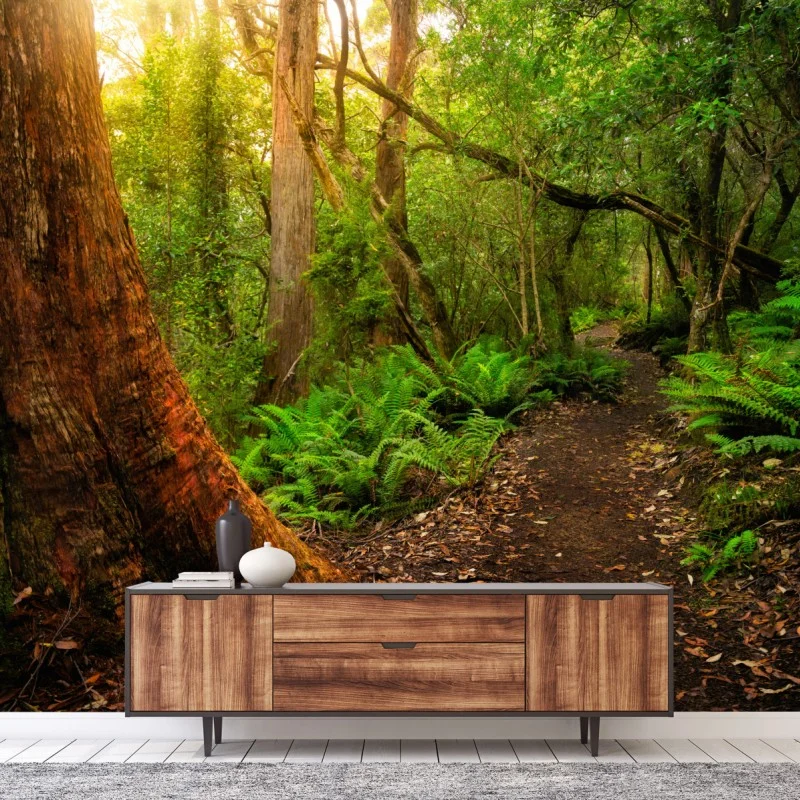Wall mural ancient rainforest path in Tasmania