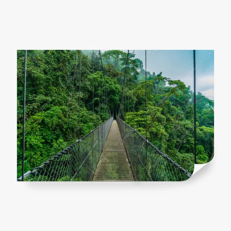 Wall mural suspension canopy bridge through lush rainforest
