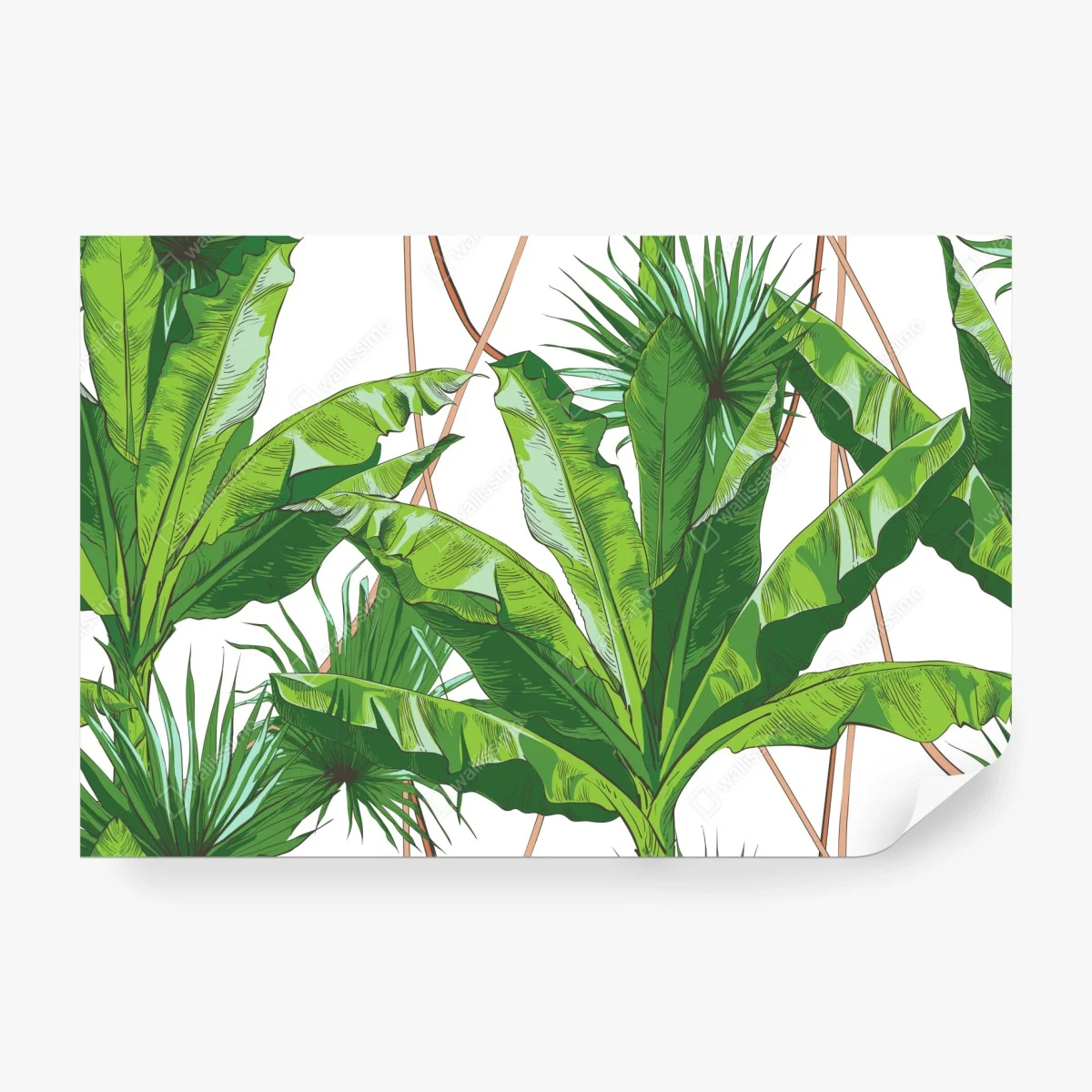 Wall mural lush tropical banana leaf pattern • Wallissimo®