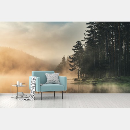 Wall mural misty sunrise over forest lake • Wallissimo®