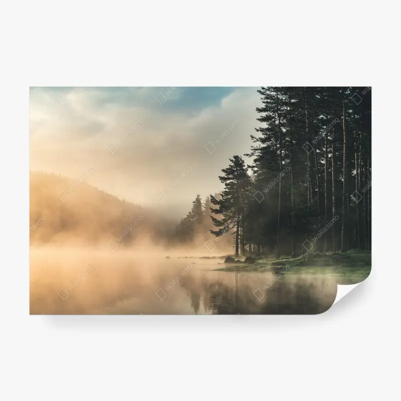 Wall mural misty sunrise over forest lake