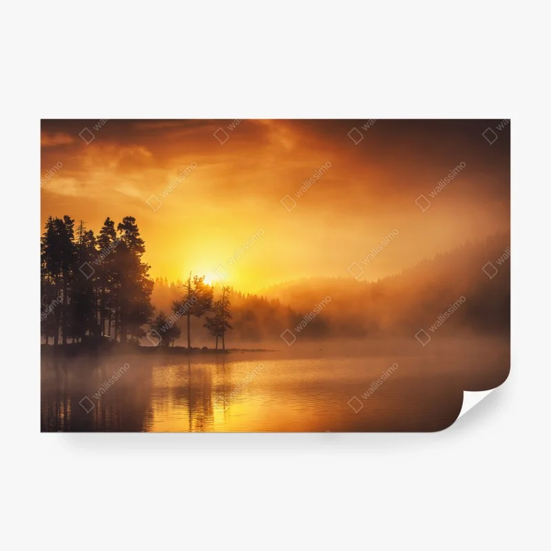 Wall mural golden sunrise over a misty lake
