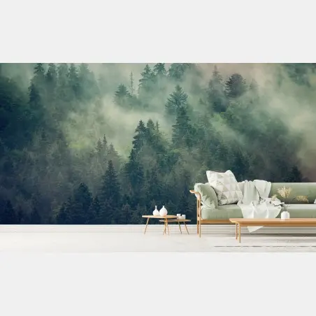 Wall mural misty evergreen forest at dawn • Wallissimo®