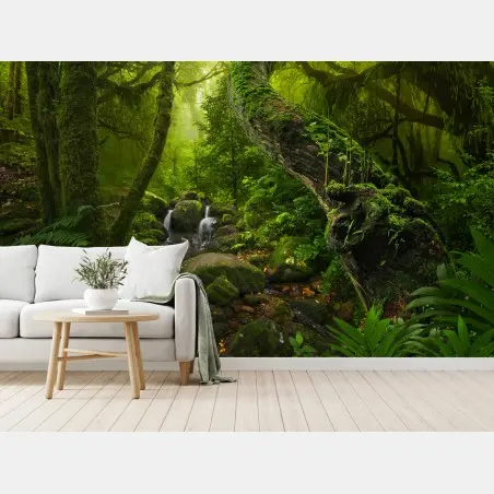 Wall mural mossy forest stream at dawn • Wallissimo®