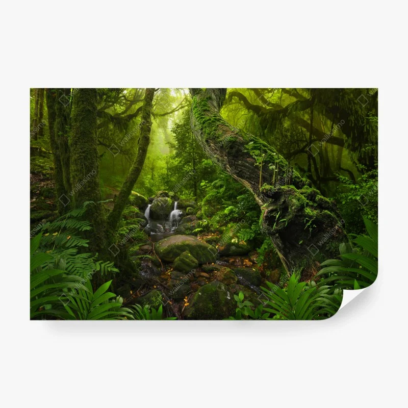 Wall mural mossy forest stream at dawn