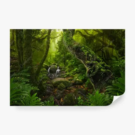 Wall mural mossy forest stream at dawn • Wallissimo®