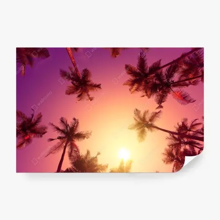 Wall mural vivid tropical sunset with palm silhouettes • Wallissimo®