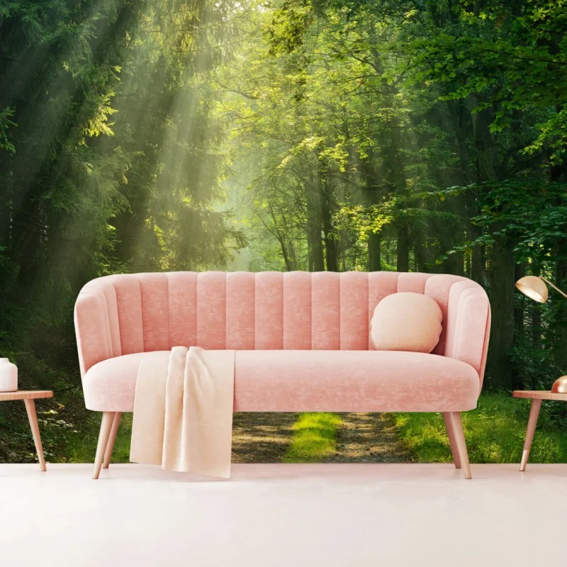 Wall mural sunlit forest path