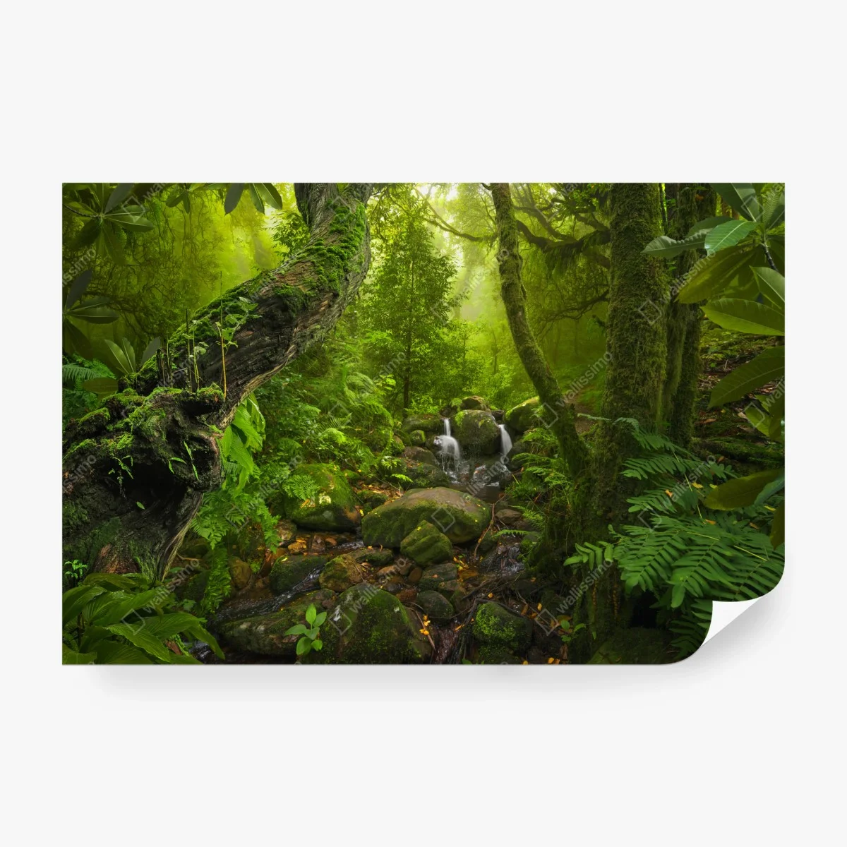Wall mural lush green forest stream ⁕ Wallissimo®