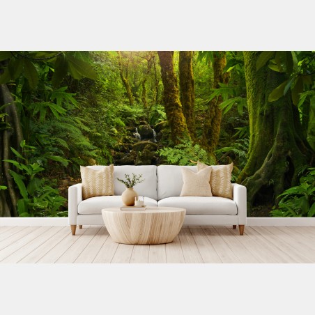 Wall mural mossy forest stream in sunlight • Wallissimo®