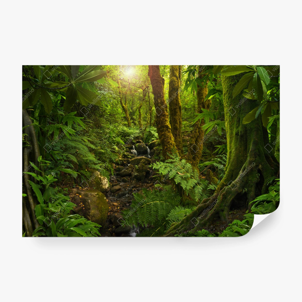 Wall mural mossy forest stream in sunlight ⁕ Wallissimo® Wall mural mossy forest stream in sunlight ⁕ Wallissimo®