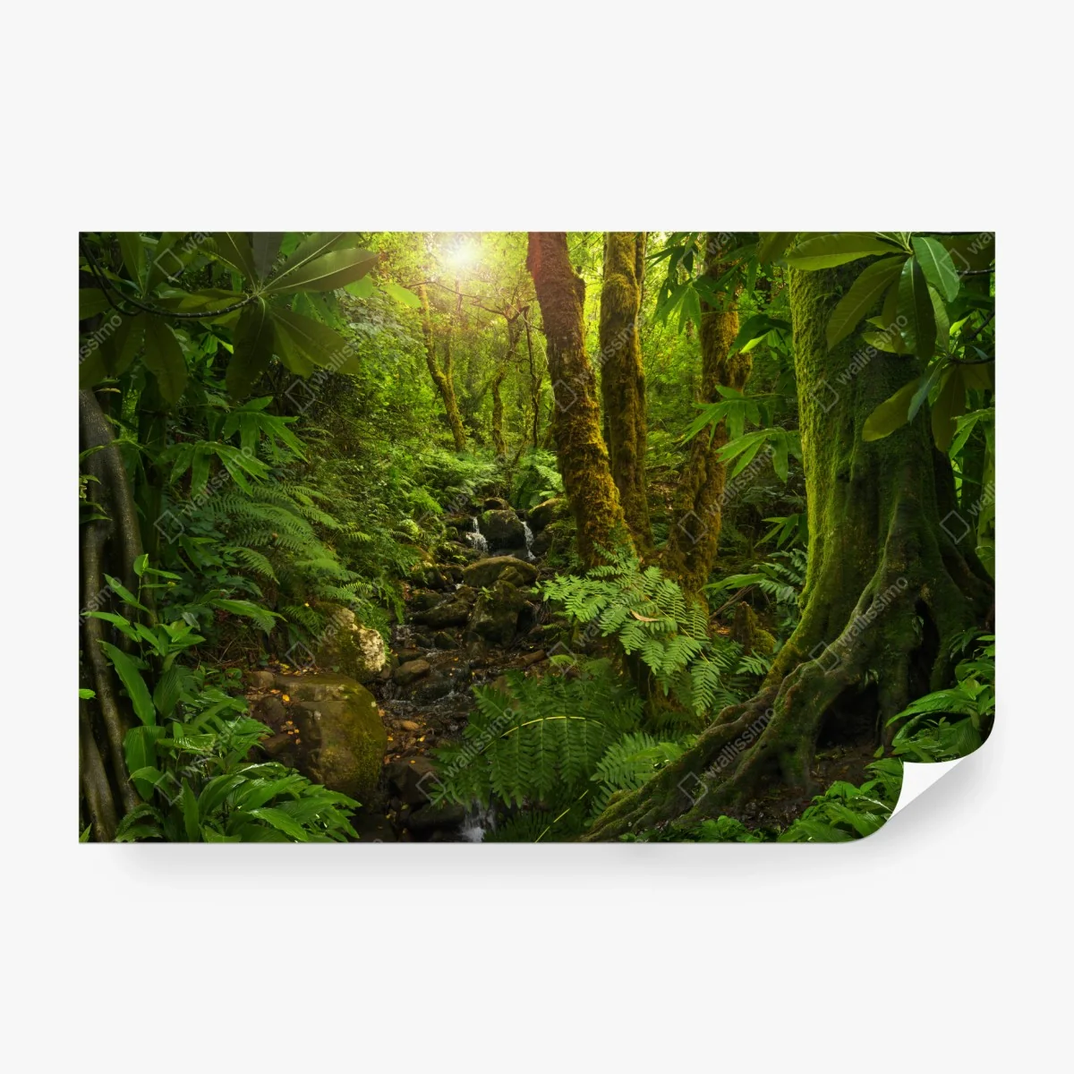 Wall mural mossy forest stream in sunlight • Wallissimo® Wall mural mossy forest stream in sunlight • Wallissimo®