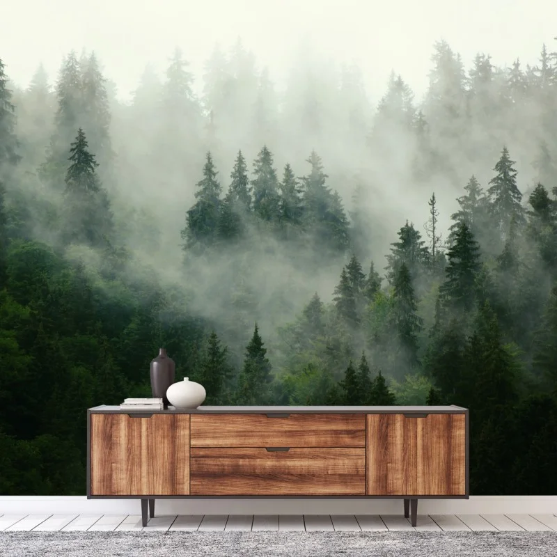 Wall mural misty evergreen forest
