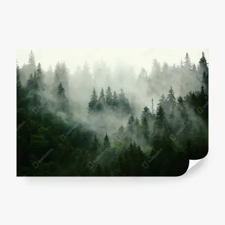 Wall mural misty evergreen forest • Wallissimo®