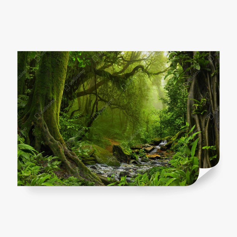 Wall mural enchanted green forest stream