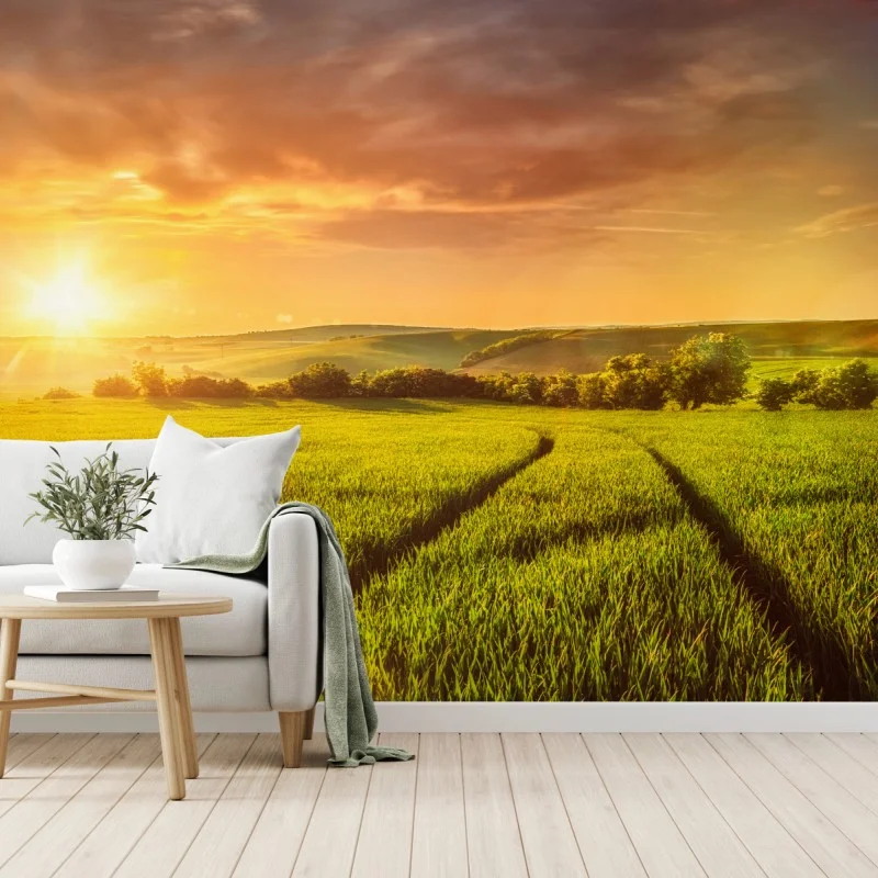 Wall mural sunlit meadow at sunset