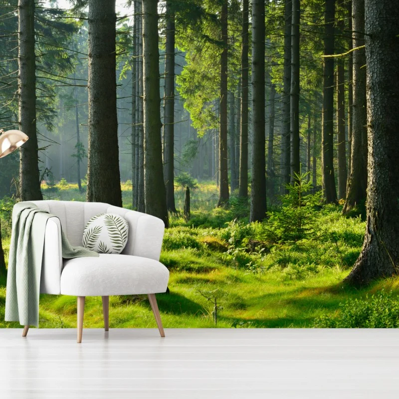 Wall mural sunlit green forest clearing