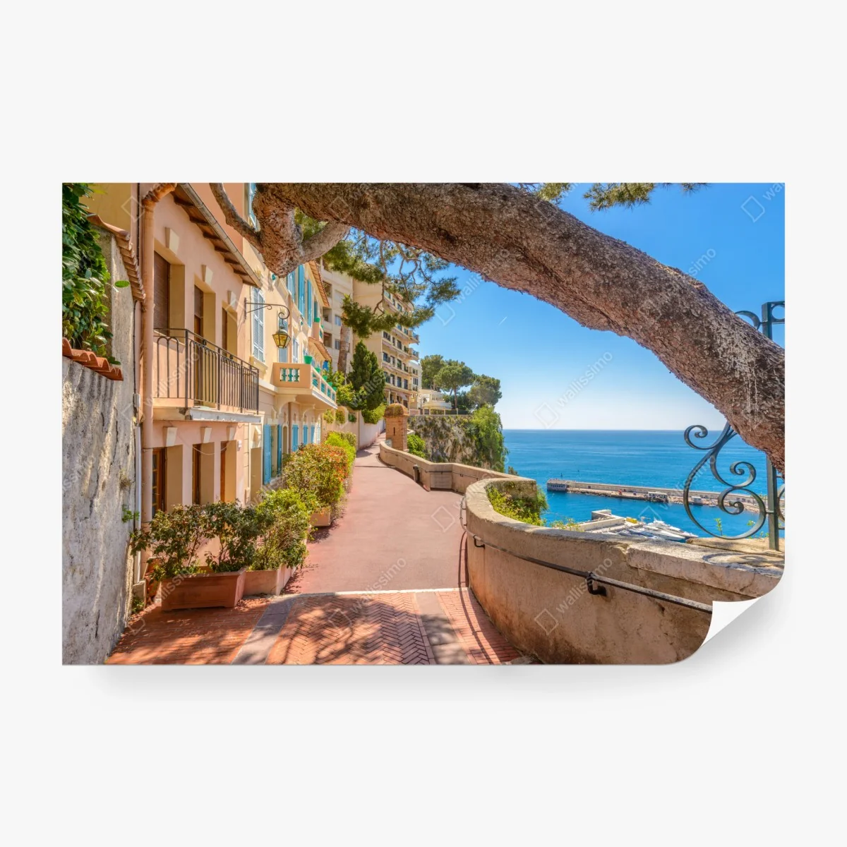 Wall mural Monaco coastal promenade with sea view • Wallissimo® Wall mural Monaco coastal promenade with sea view • Wallissimo®