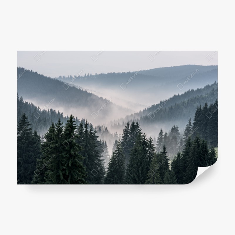 Wall mural misty mountain forest panorama