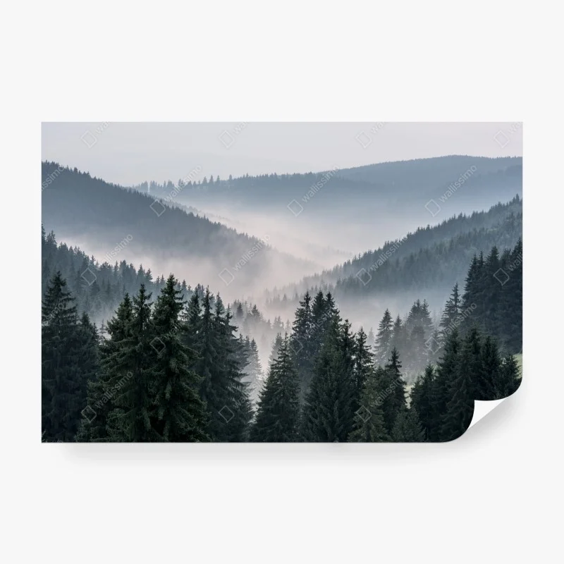 Wall mural misty mountain forest panorama