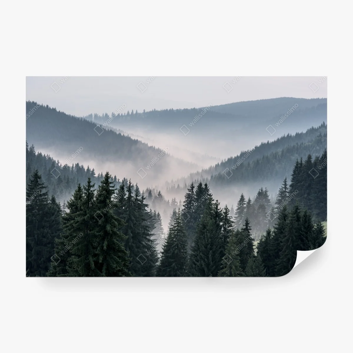Wall mural misty mountain forest panorama ⁕ Wallissimo® Wall mural misty mountain forest panorama ⁕ Wallissimo®