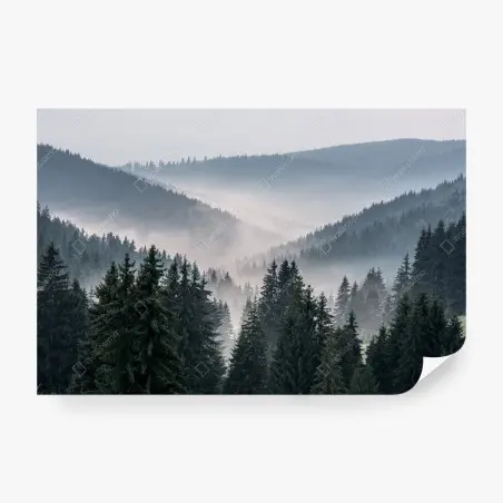 Wall mural misty mountain forest panorama • Wallissimo®