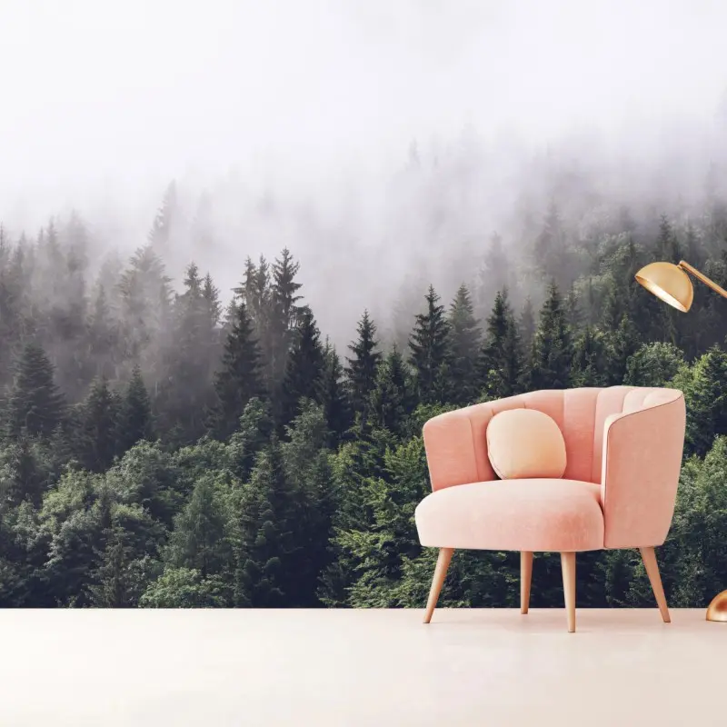 Wall mural misty conifer forest on a mountain slope