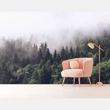 Wall mural misty conifer forest on a mountain slope • Wallissimo®