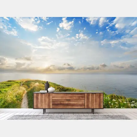 Wall mural sunlit coastal path to the sea • Wallissimo®