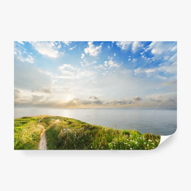 Wall mural sunlit coastal path to the sea