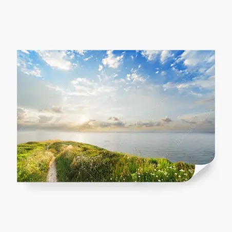 Wall mural sunlit coastal path to the sea • Wallissimo®
