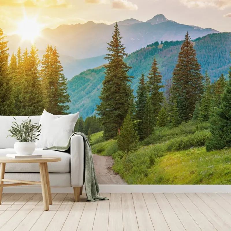 Wall mural Colorado mountain sunrise trail