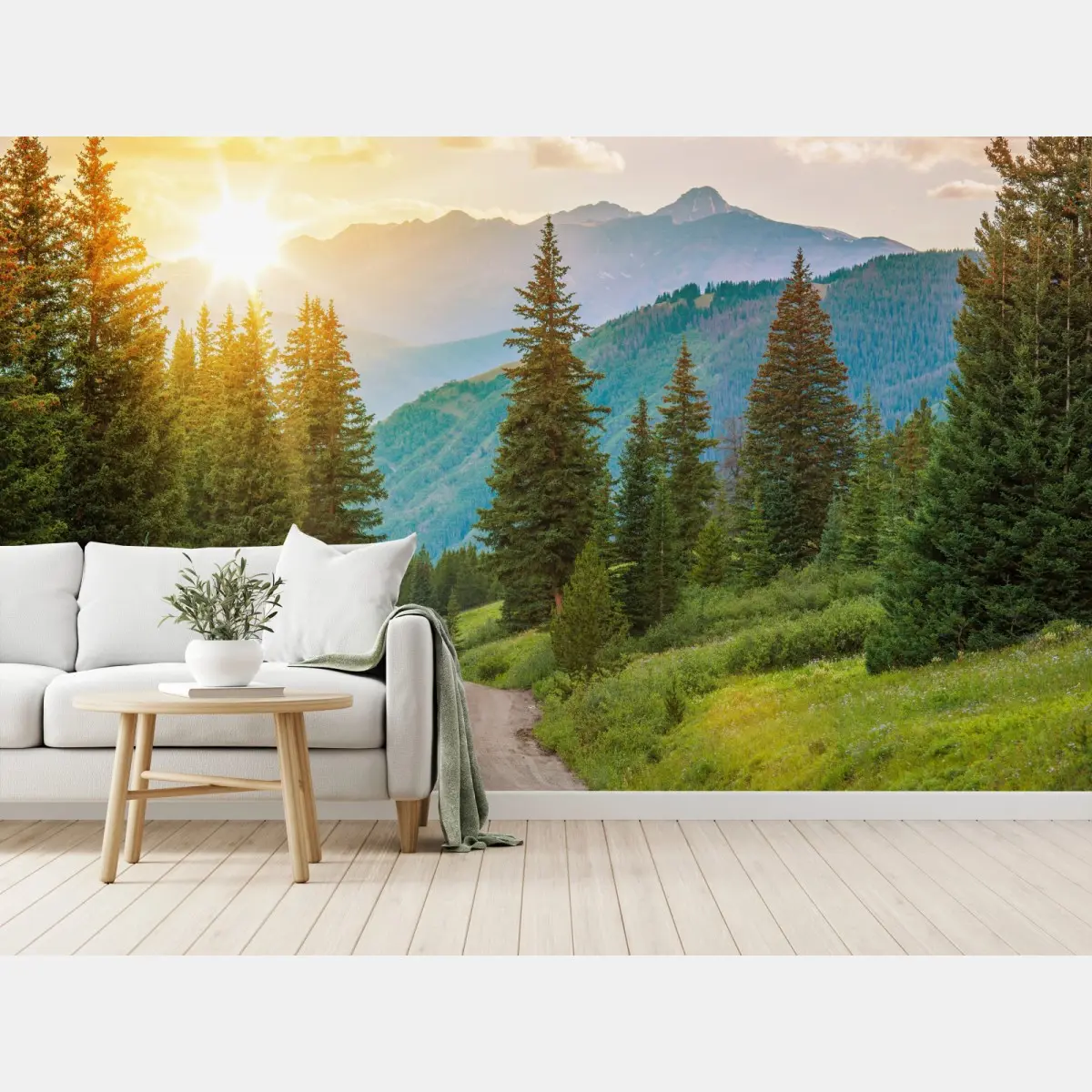 Wall mural Colorado mountain sunrise trail • Wallissimo®