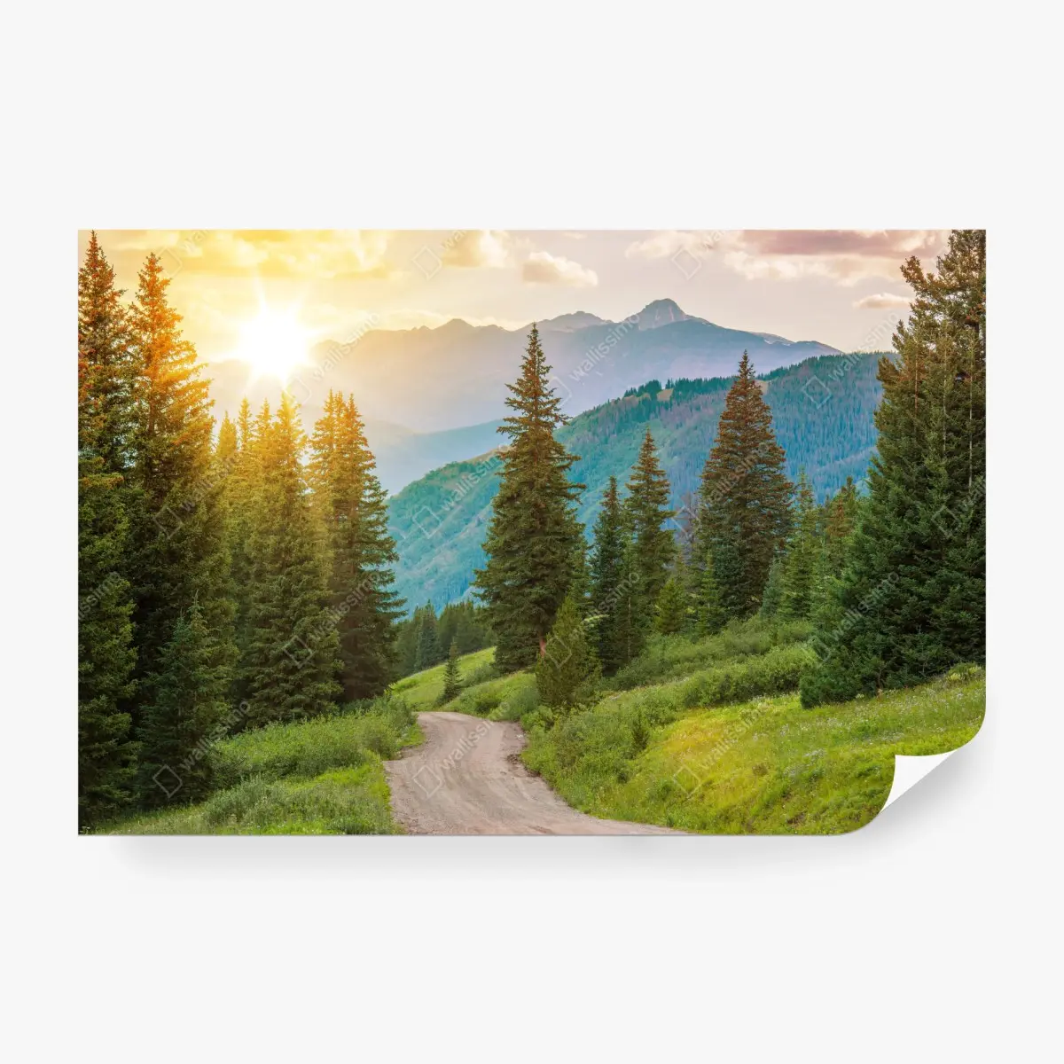Wall mural Colorado mountain sunrise trail • Wallissimo®