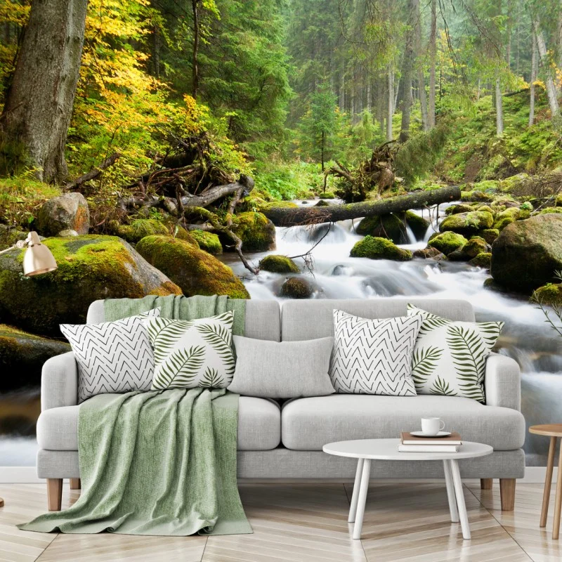 Wall mural mossy forest stream in autumn