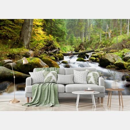 Wall mural mossy forest stream in autumn • Wallissimo®