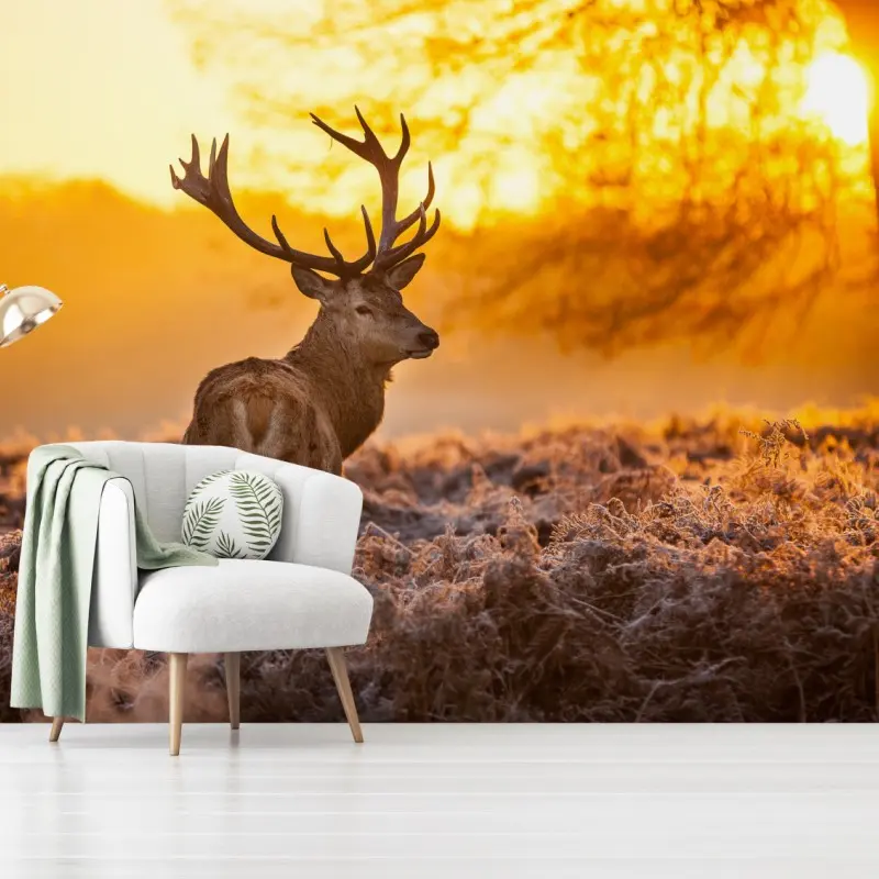 Wall mural golden stag at sunrise