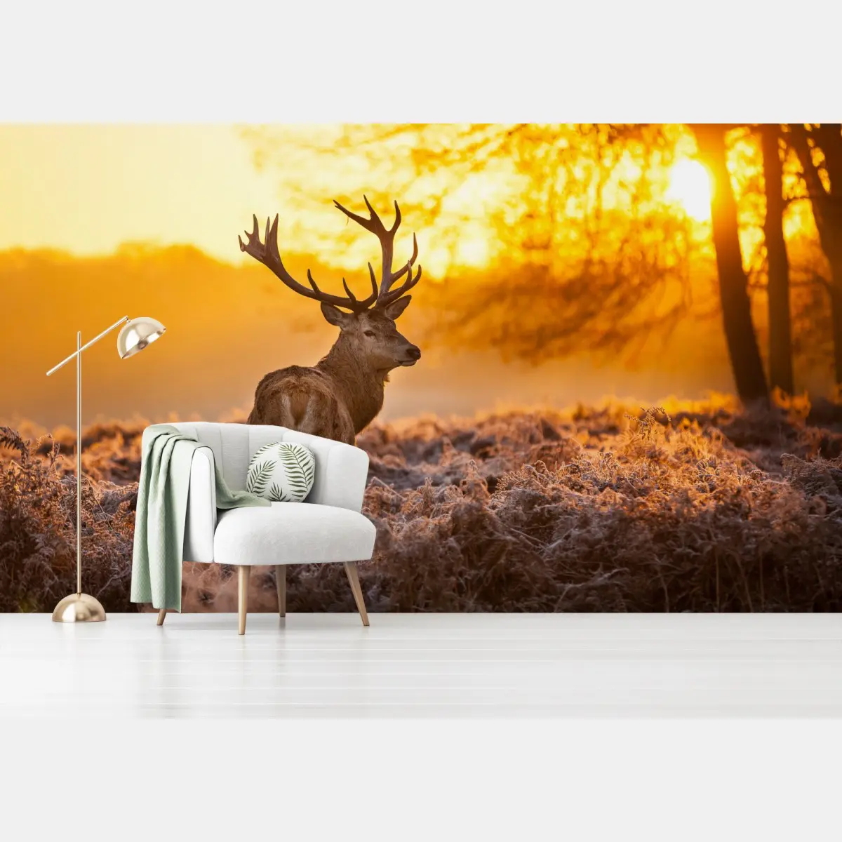 Wall mural golden stag at sunrise • Wallissimo®