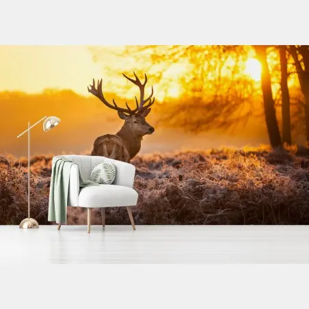 Wall mural golden stag at sunrise • Wallissimo®
