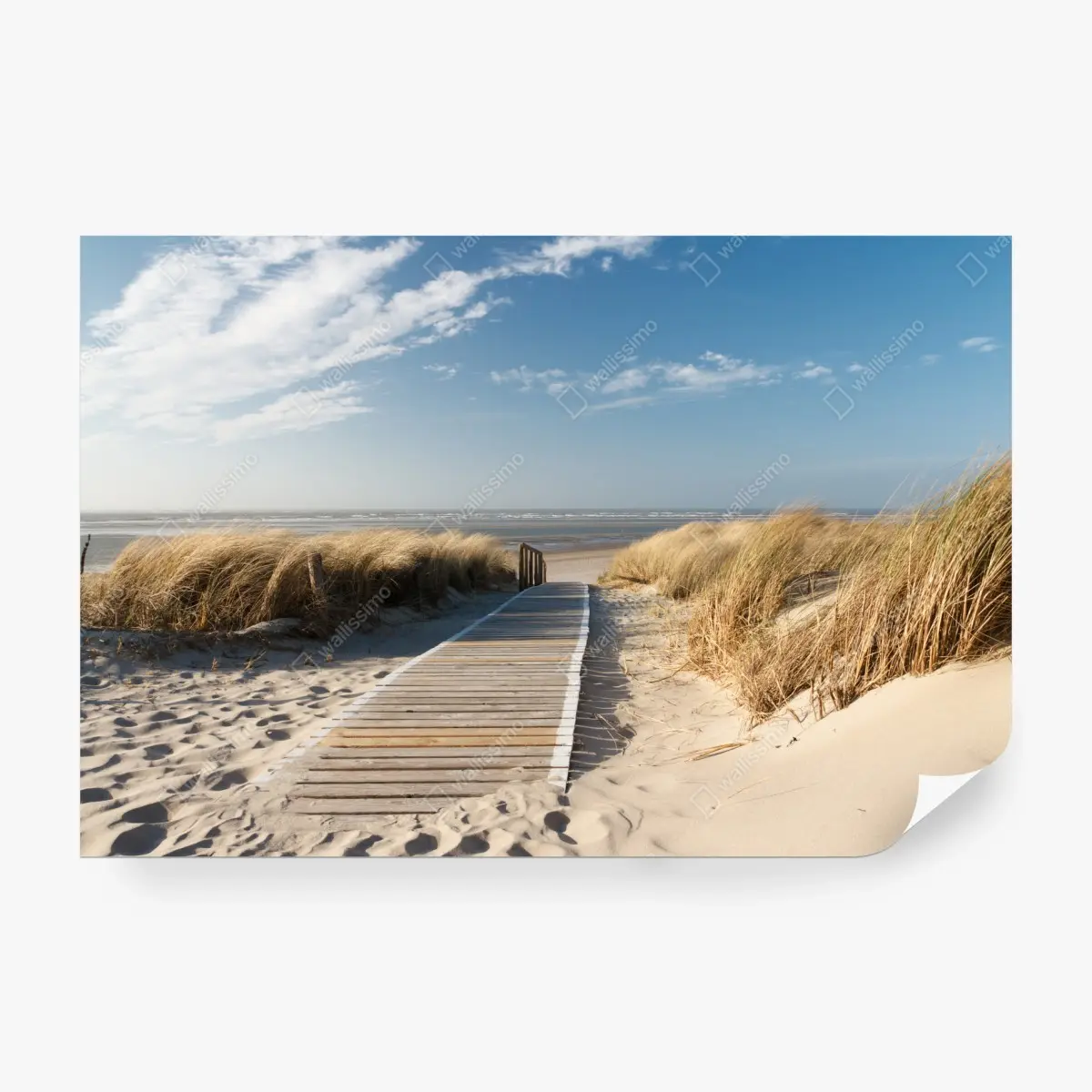 Wall mural coastal boardwalk to the sea • Wallissimo® Wall mural coastal boardwalk to the sea • Wallissimo®