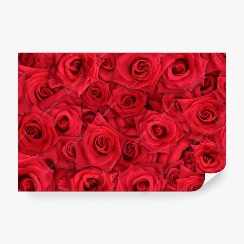 Wall mural vibrant red roses collage