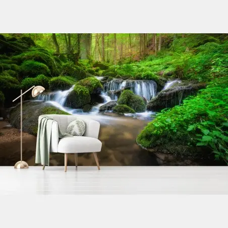 Wall mural tranquil mossy forest waterfall • Wallissimo®