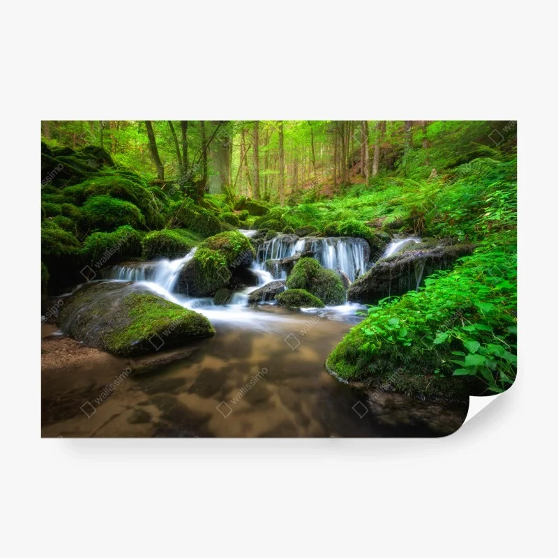 Wall mural tranquil mossy forest waterfall