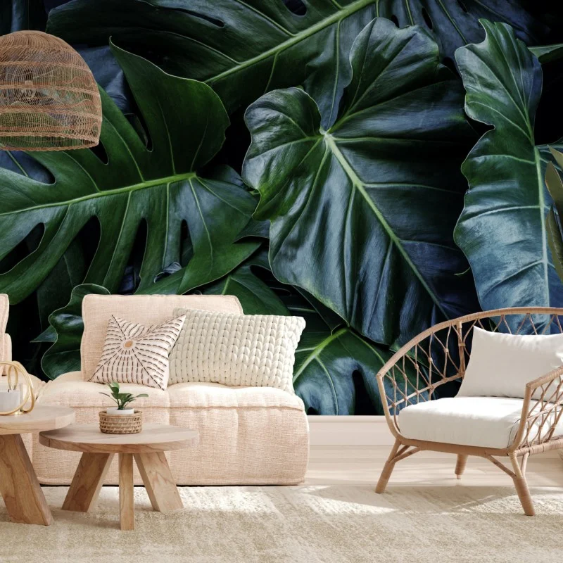 Wall mural lush tropical monstera foliage
