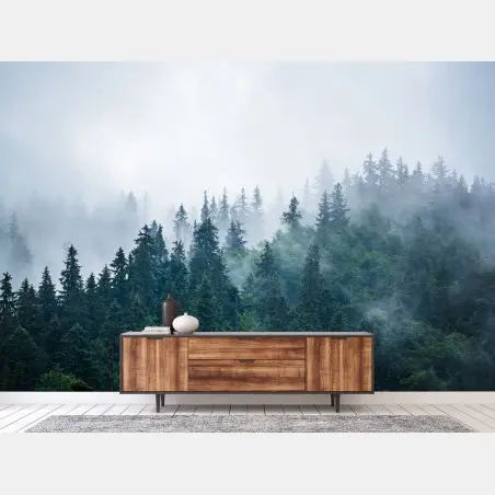 Wall mural misty evergreen forest • Wallissimo®