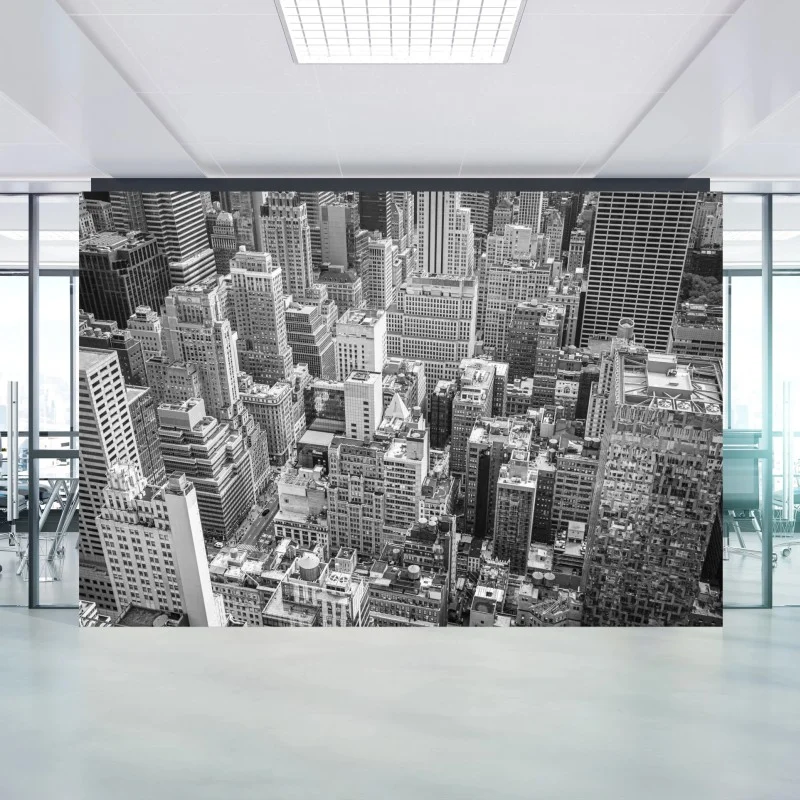 Wall mural urban aerial skyline in monochrome
