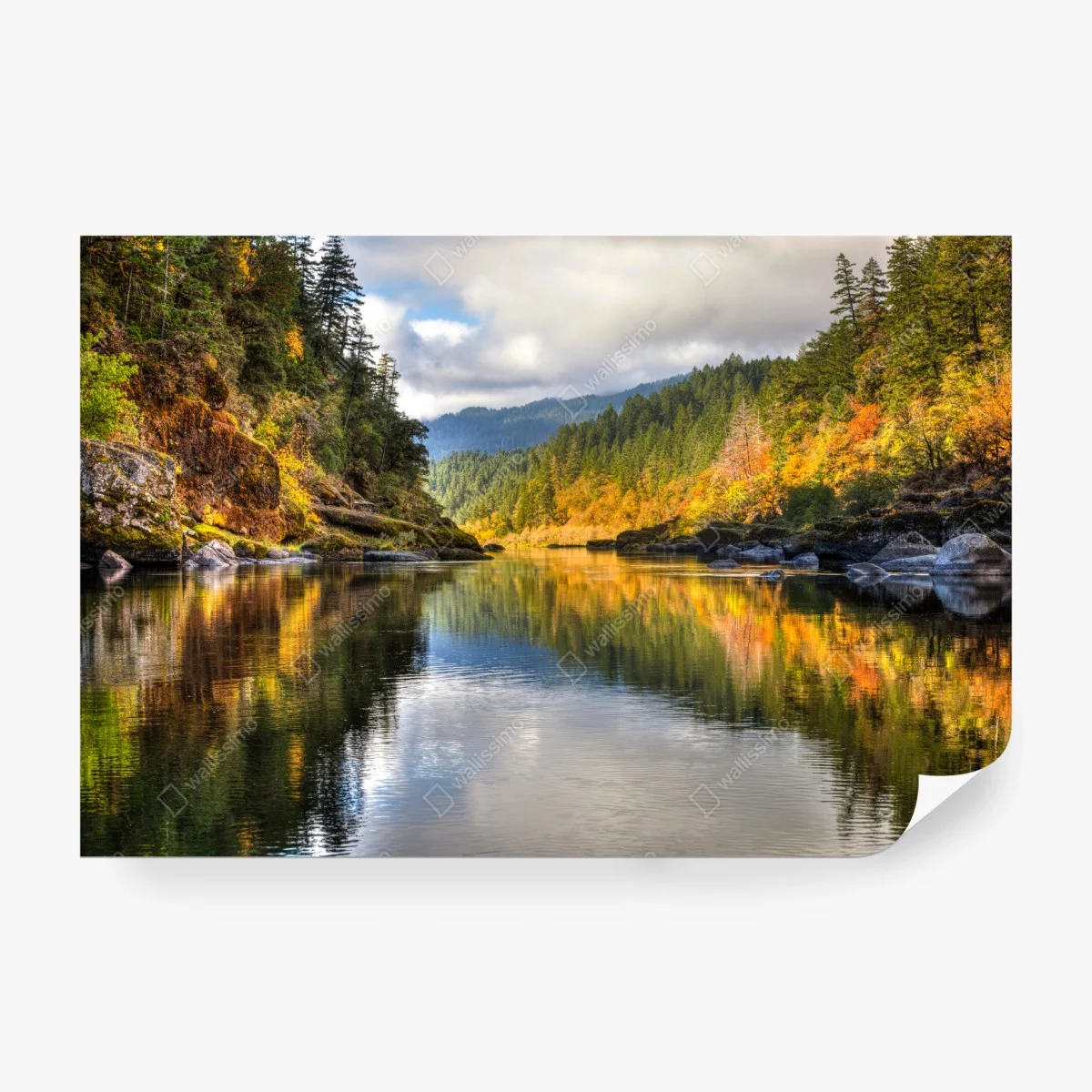Wall mural Rogue River autumn reflections • Wallissimo®