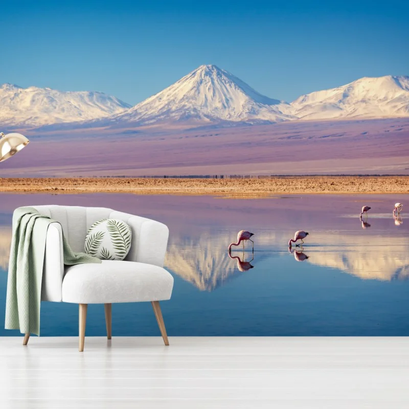 Wall mural Laguna Chaxa with flamingos and Licancabur