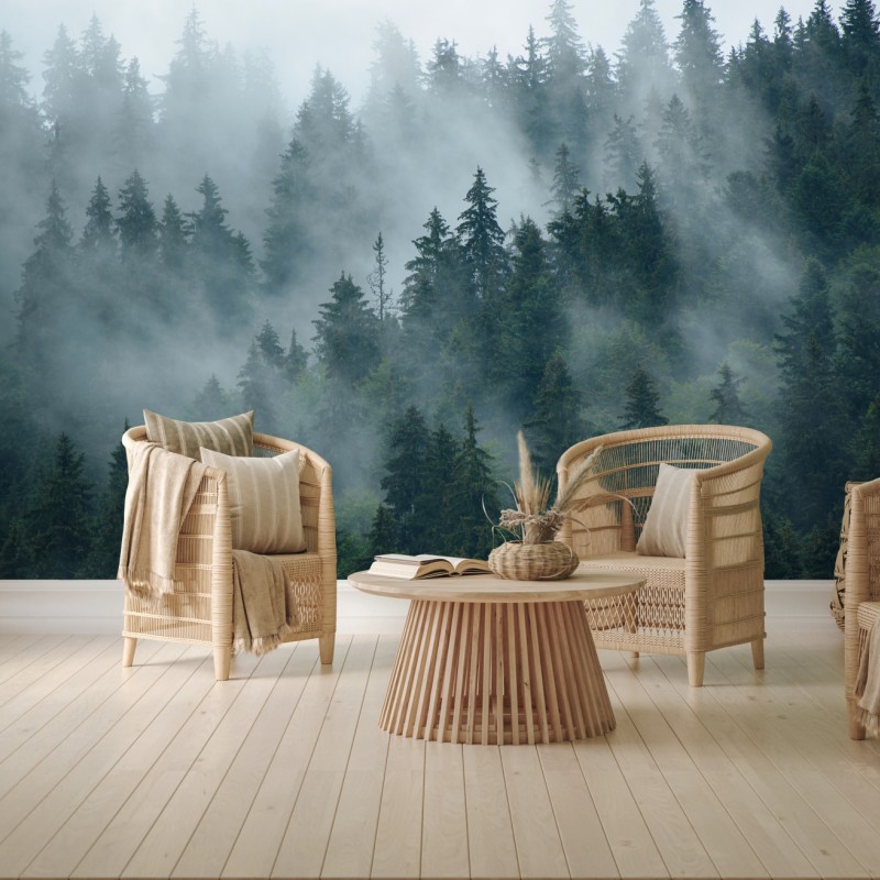 Wall mural misty evergreen forest