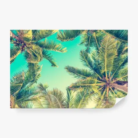 Wall mural vintage turquoise palm canopy • Wallissimo®